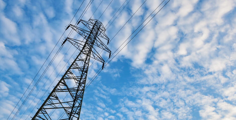 Петербургская полиция выявила схему со взятками за подключение к электросетям