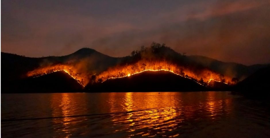 В Коми из-за горящих лесов ввели режим ЧС