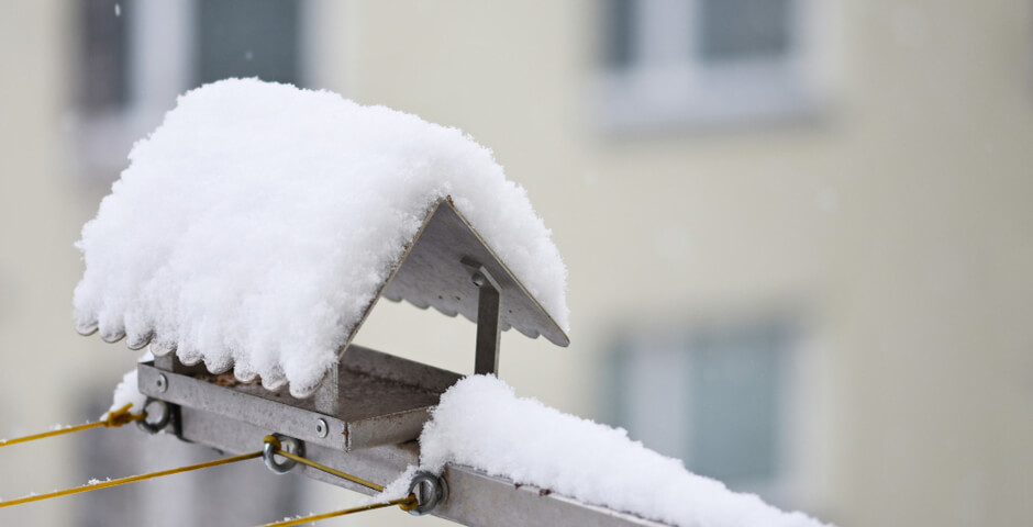 В СЗФО ждут похолодание и сильный ветер