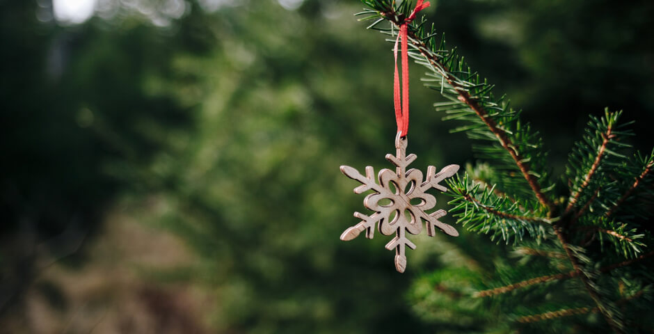 В Ленобласти стартовала акция по бесплатной выдаче новогодних елок