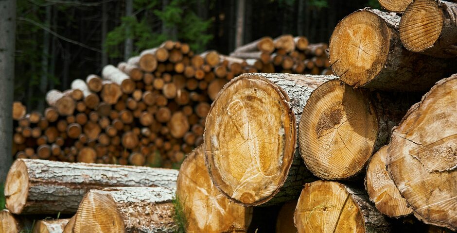 Эксперт: развитие экспорта в ЛПК тормозится низким уровнем автоматизации