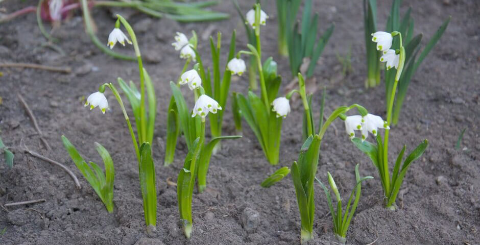 Картина недели: 10 — 17 апреля