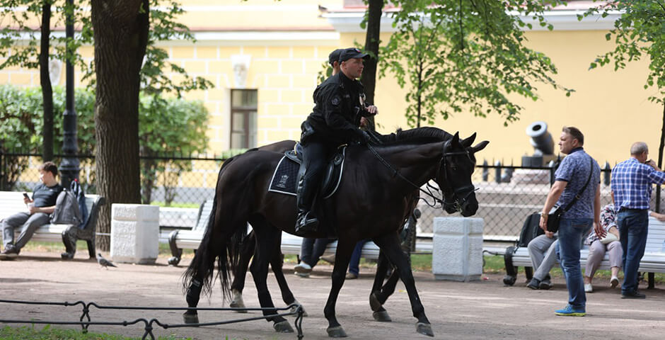 На улицы Петербурга вернулась конная полиция