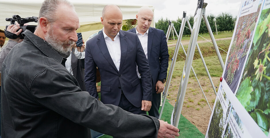 В Калининграде аграриям компенсируют потери от заморозков