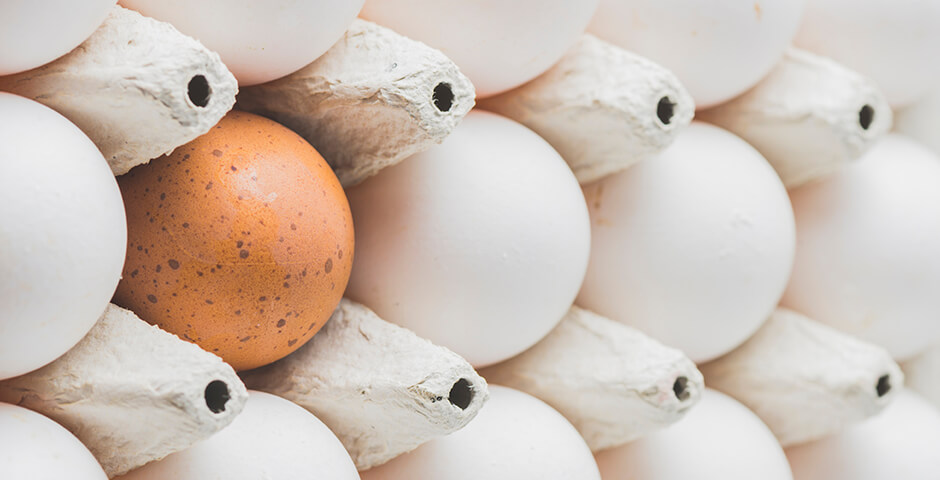 В Минсельхозе анонсировали снижение цен на яйца после Нового года