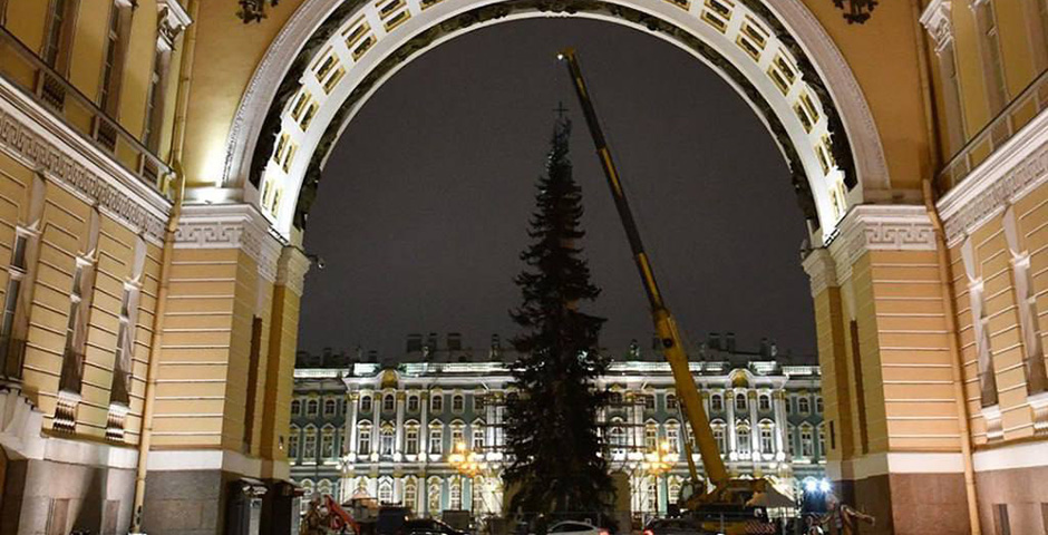 Главная новогодняя ель Петербурга уже появилась на Дворцовой площади