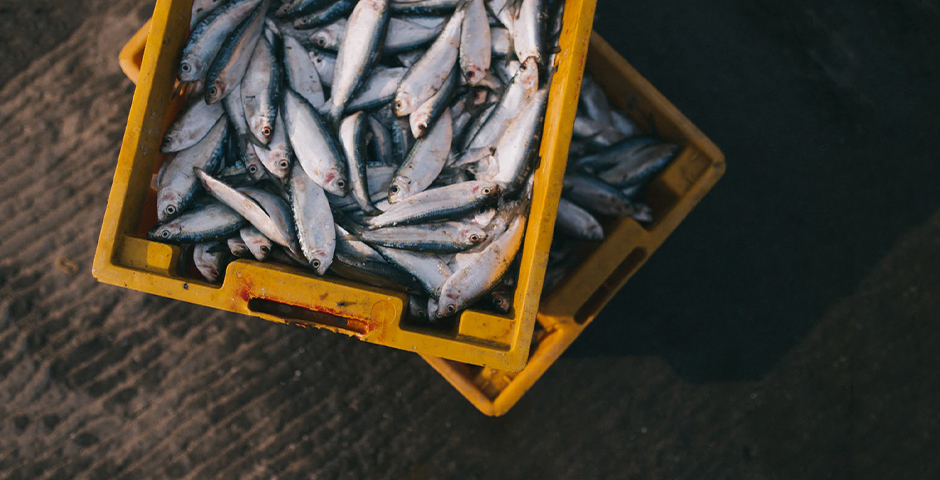 Приоритет для рыбопромышленников