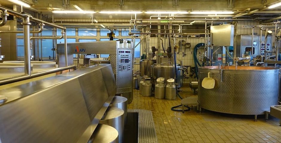 «Питерпром» перенесет молочное производство из Петербурга в Ленобласть