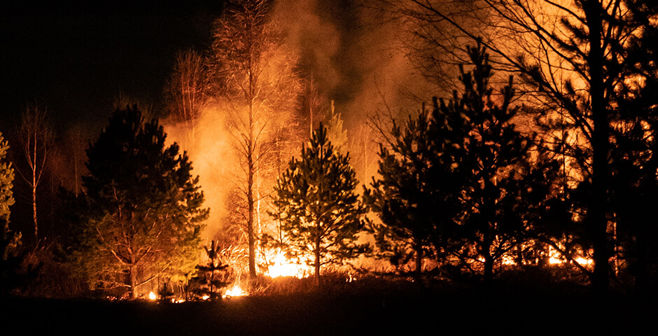 В России всё больше лесных пожаров. Их тушат более 5 тыс. человек
