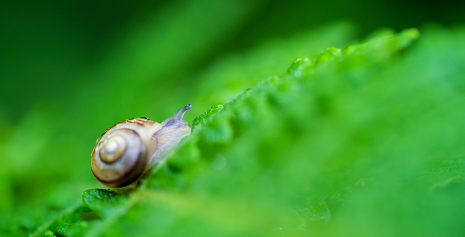 Картина недели: 1 — 7 ноября