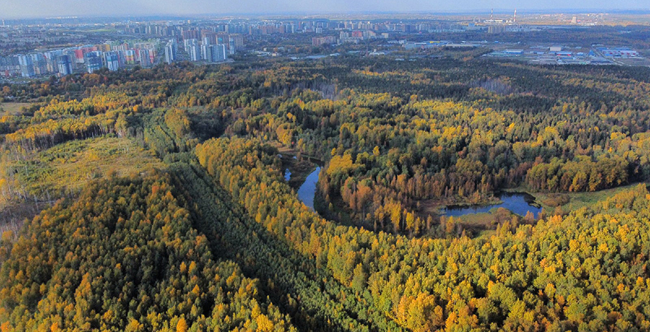 В Петербурге согласовали концепцию Пейзажного парка