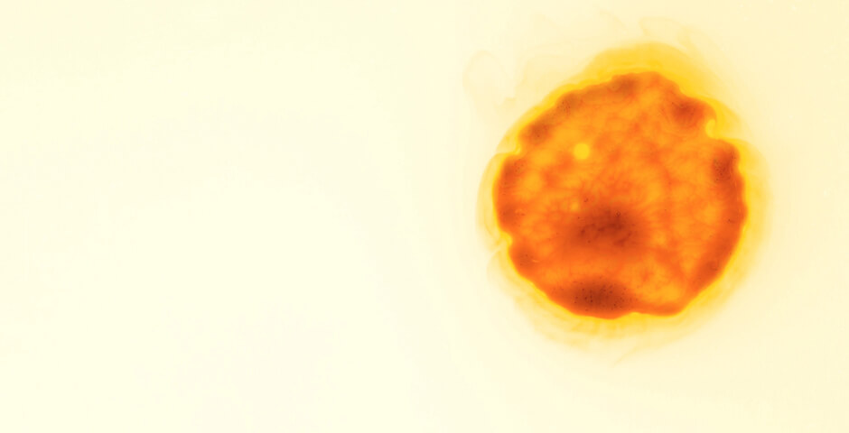 От Солнца оторвался протуберанец, который в 80 раз больше Земли