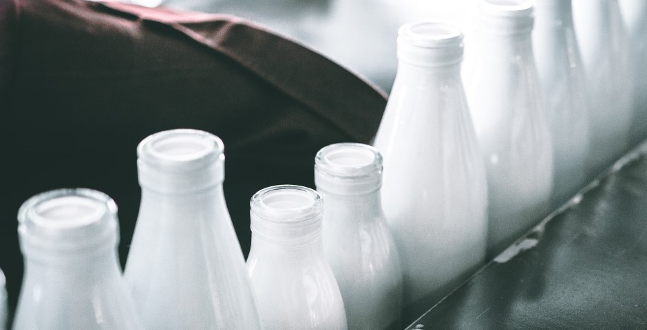 Петербургские производители «молочки» поддержали идею создания кластера пищевой промышленности