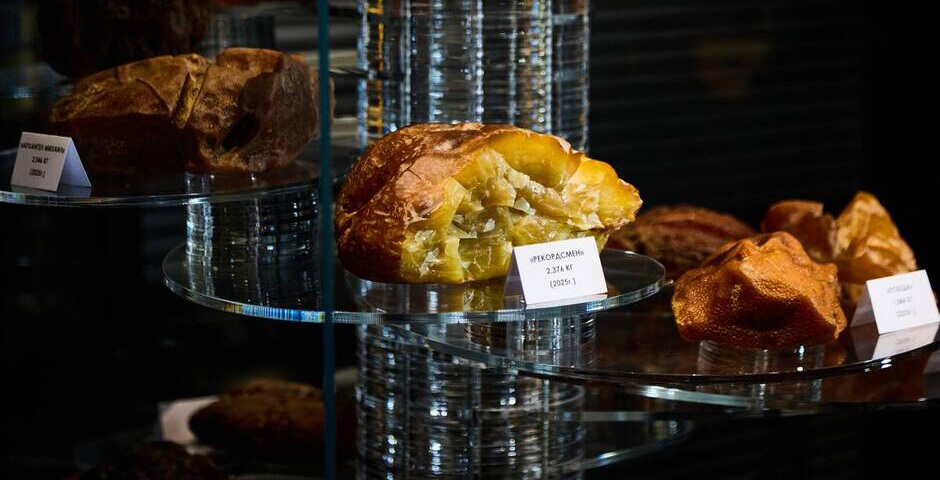 Янтарный комбинат Калининграда презентует двухкилограммовый самородок