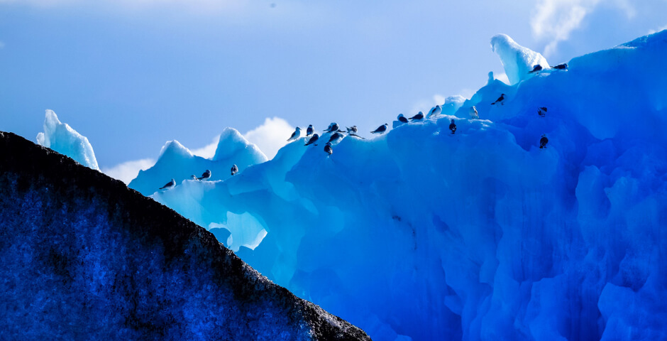 Картина недели: 9 — 16 января