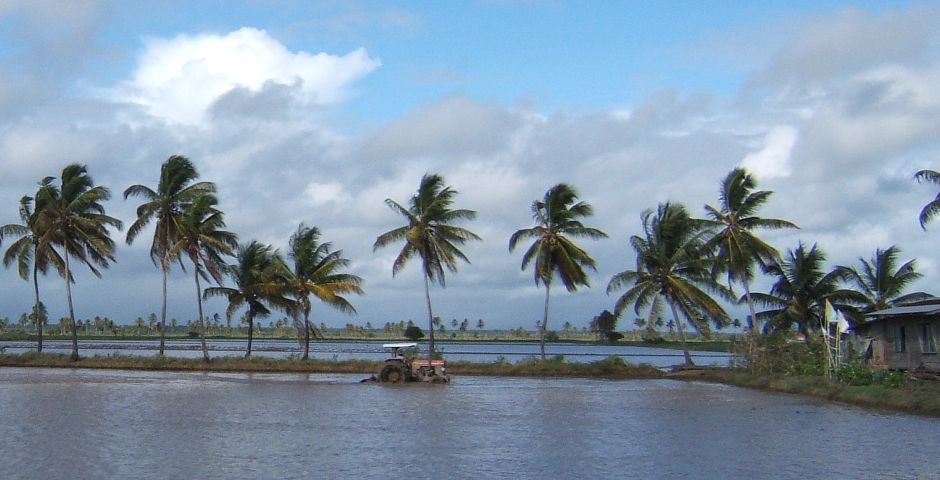 Добыча нефти может сделать Гайану страной с самой быстрорастущей экономикой