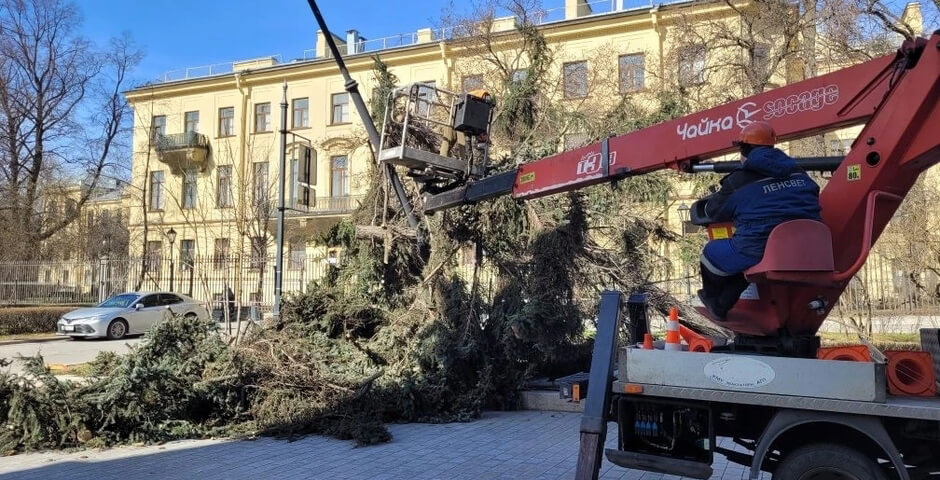Мощный ветер повалил в Петербурге более 50 деревьев