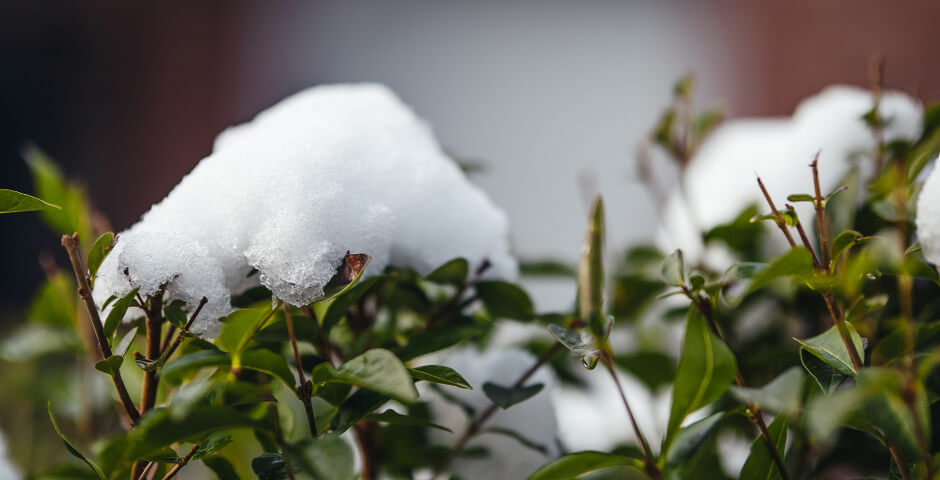 Ученый Карнаухов анонсировал, что снег в России не будет таять даже летом