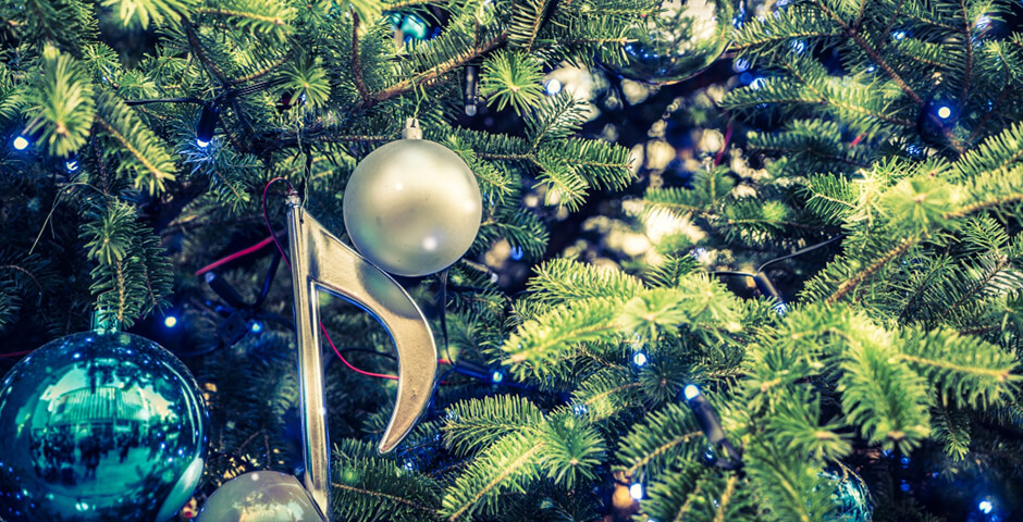 Петербуржцам рассказали про установку главной новогодней елки города