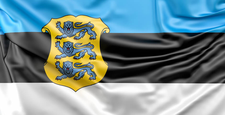 Эстонцы задержали пророссийского блогера Олега Беседина