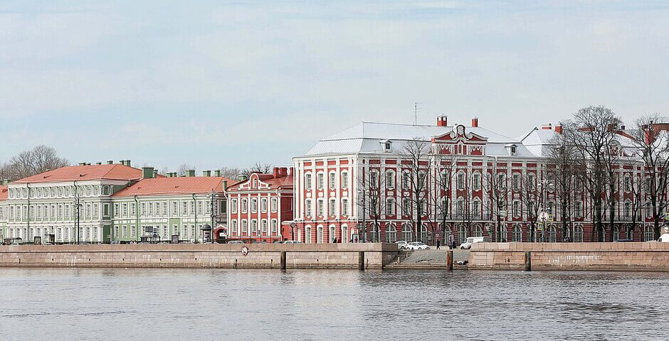 Бабич: СПбГУ получил на 50% больше заявлений, чем в прошлом году