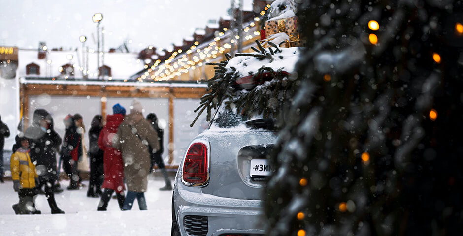 Россияне поделились мечтами об идеальном месте для отдыха на зимних каникулах