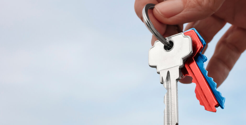 Депутат Милонов предложил «амнистию» имени Ларисы Долиной