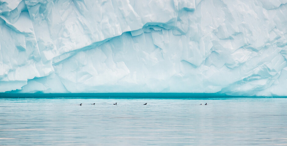 Знаменитый айсберг А23а перестал быть крупнейшим в мире