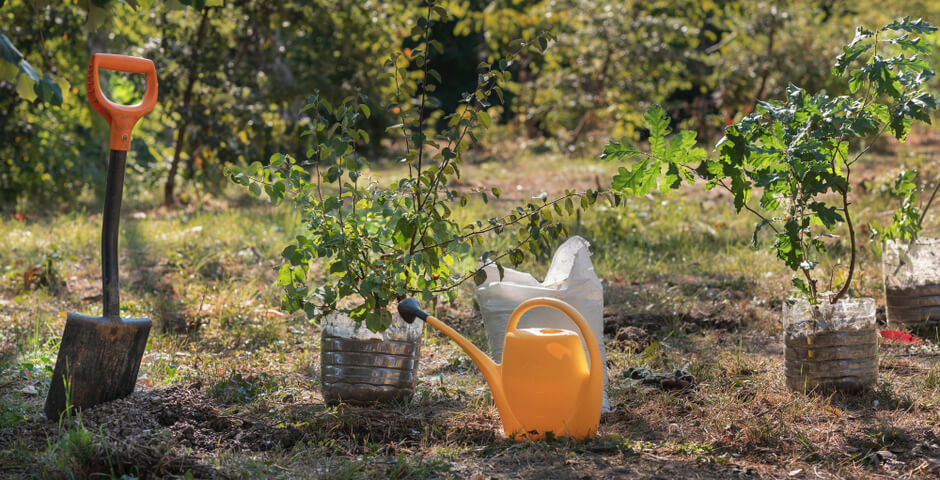 Власти намерены изменить требования к садовым участкам россиян
