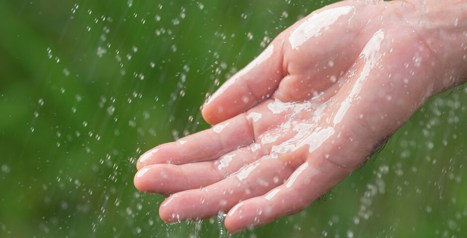 В Санкт-Петербурге запустили 96 фонтанов