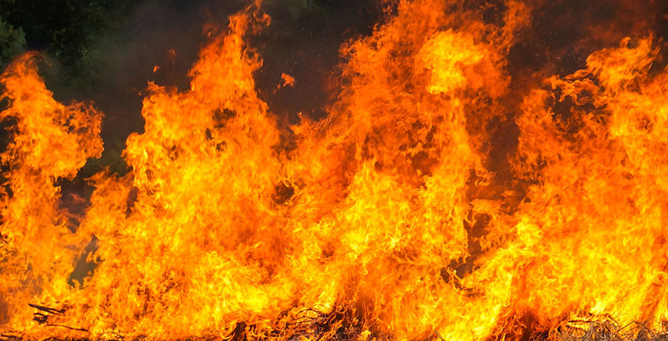 В Псковской области резко сократился ущерб от лесных пожаров