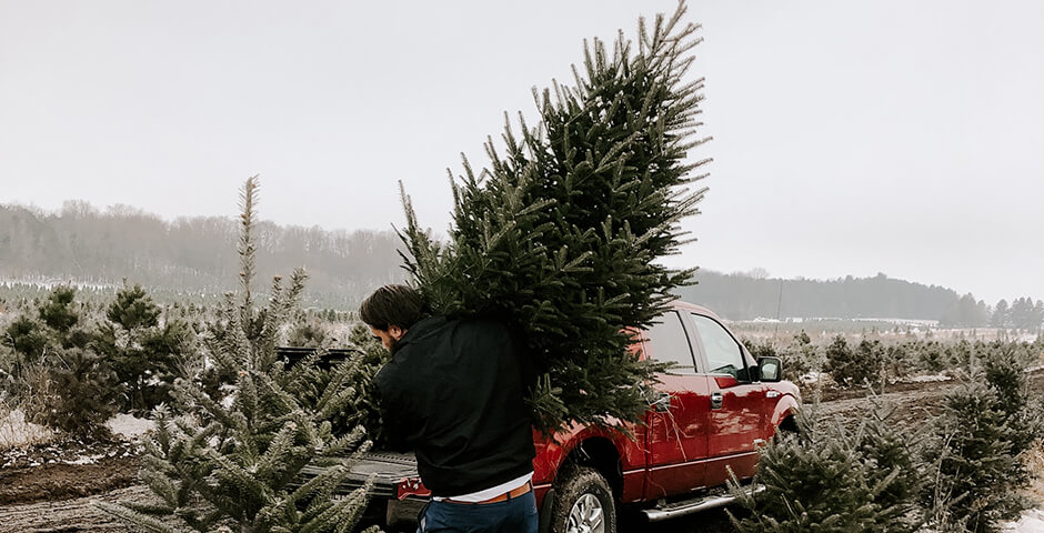 В Петербурге и Ленобласти новогоднюю елку после праздников можно будет сдать в экопункты