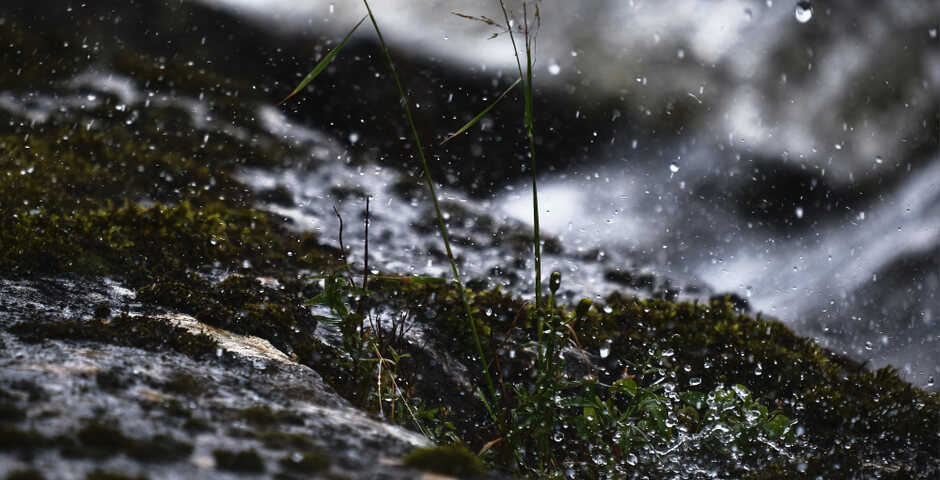 В РФ из-за непогоды 1 человек погиб и 31 пострадал