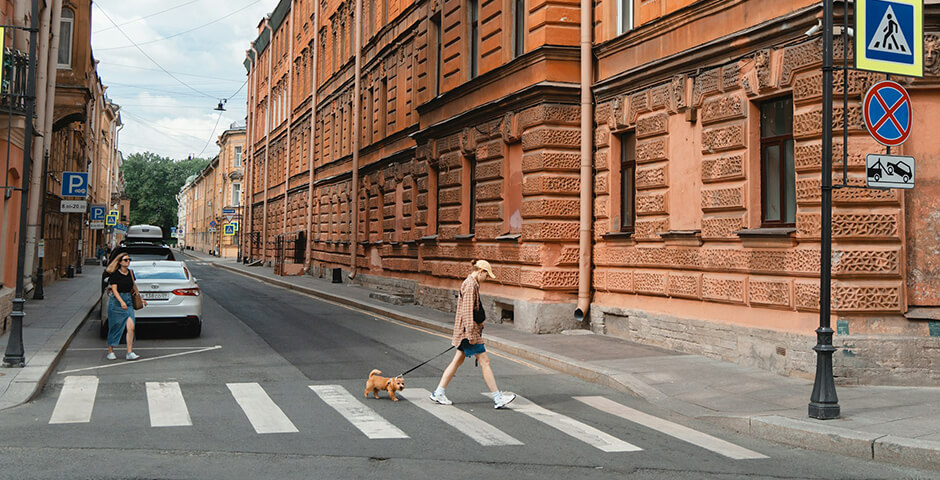 Картина недели: 7 — 14 ноября