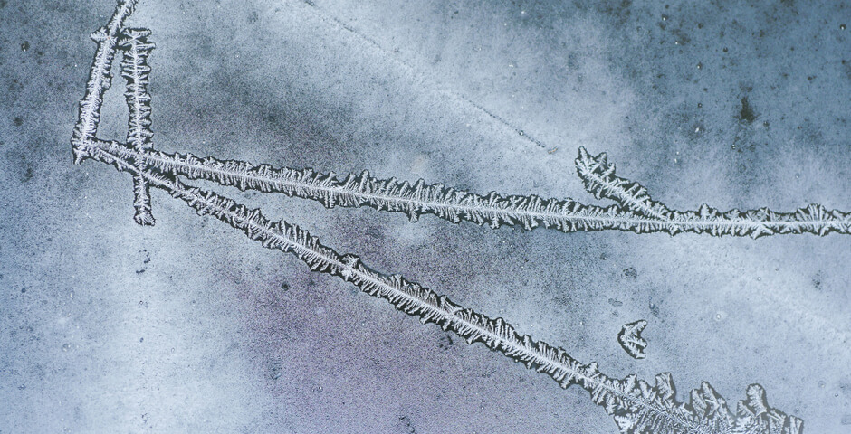 Синоптики: в СЗФО ждут морозы и оттепели