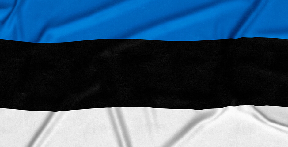 Эстония будет строить станции мониторинга на границе с Россией