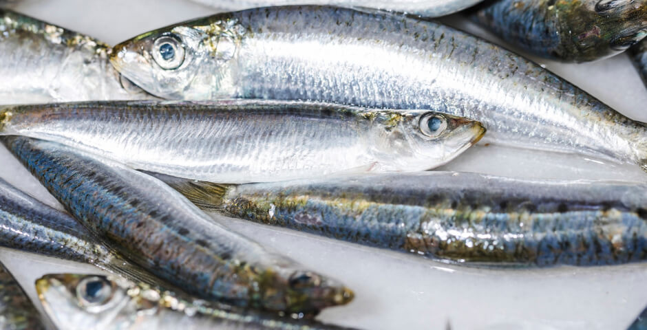 В Петербурге цены на корюшку выросли минимум на 30%