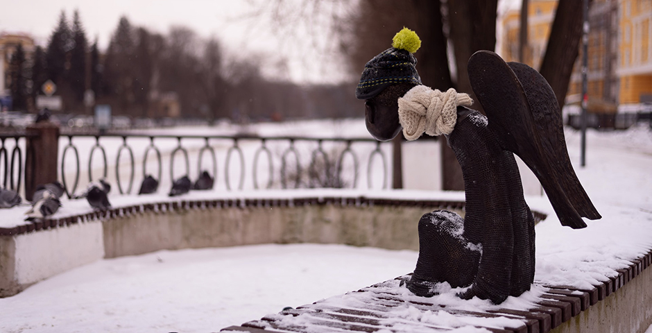Виноват снегопад: в Петербурге объявили «желтый» уровень опасности