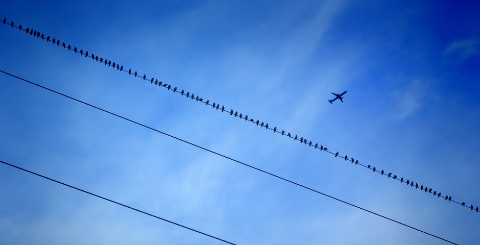 Из Петербурга запустят прямые рейсы в в Шымкент