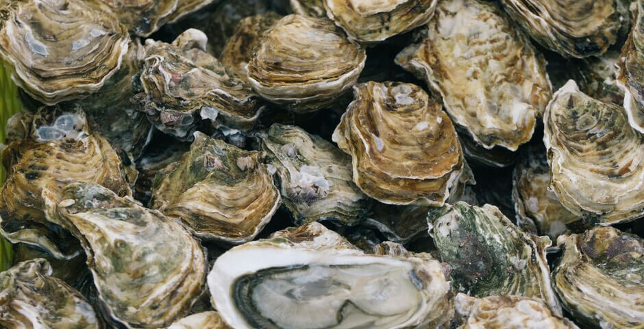 В морепродуктах нашли вирус, который вызывает слепоту