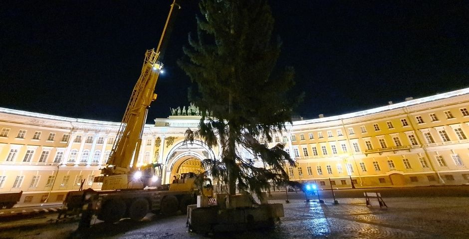 На главной площади Петербурга установили живую ель