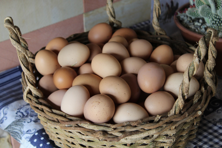 Российские власти одобрили обнуление пошлин на импорт яиц