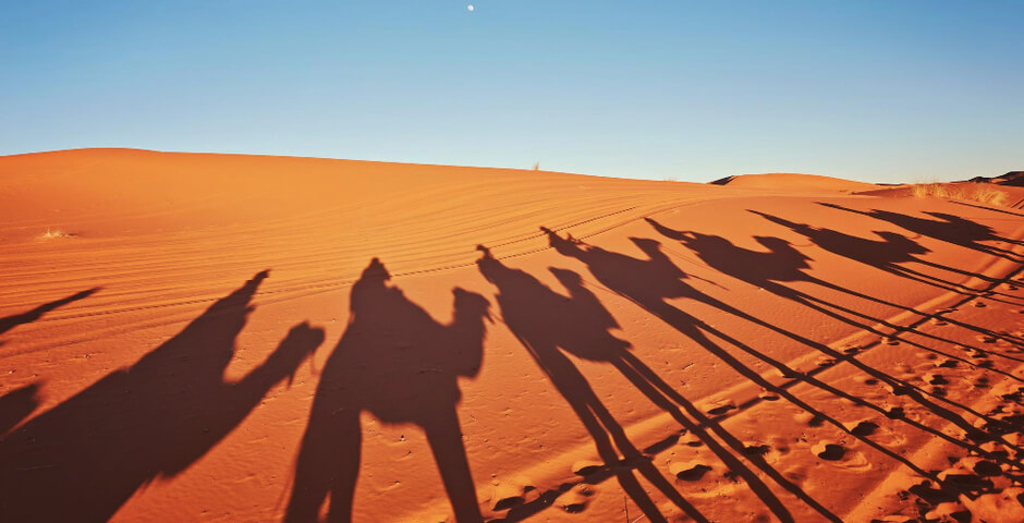 В 2026 году турпоток из Саудовской Аравии в Россию может вырасти