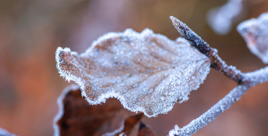 В европейской части РФ ожидается значительное похолодание