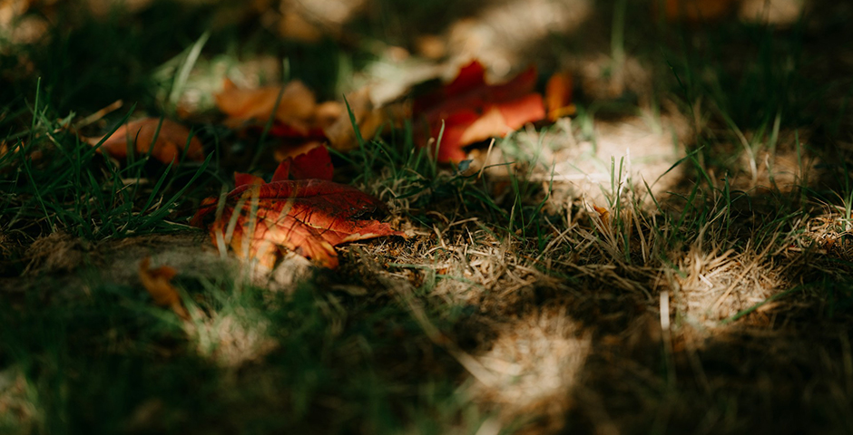 Деловая активность с криминальным оттенком