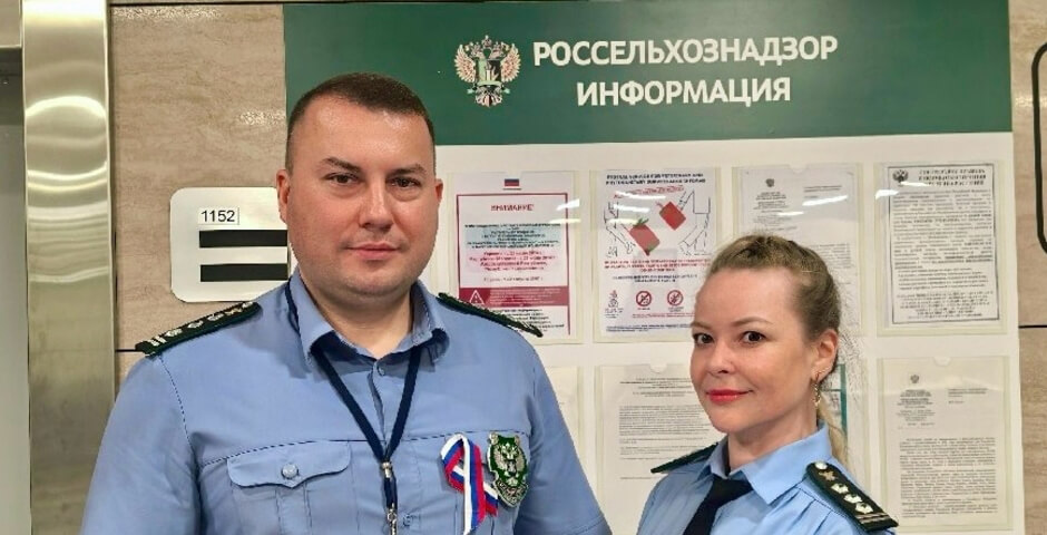 В городе на Неве уничтожили десятки килограммов зарубежных сыров и колбас