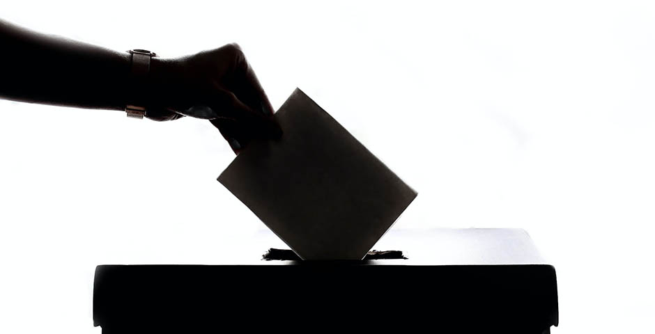 В Ленобласти на выборах будут работать более 5 тыс. наблюдателей