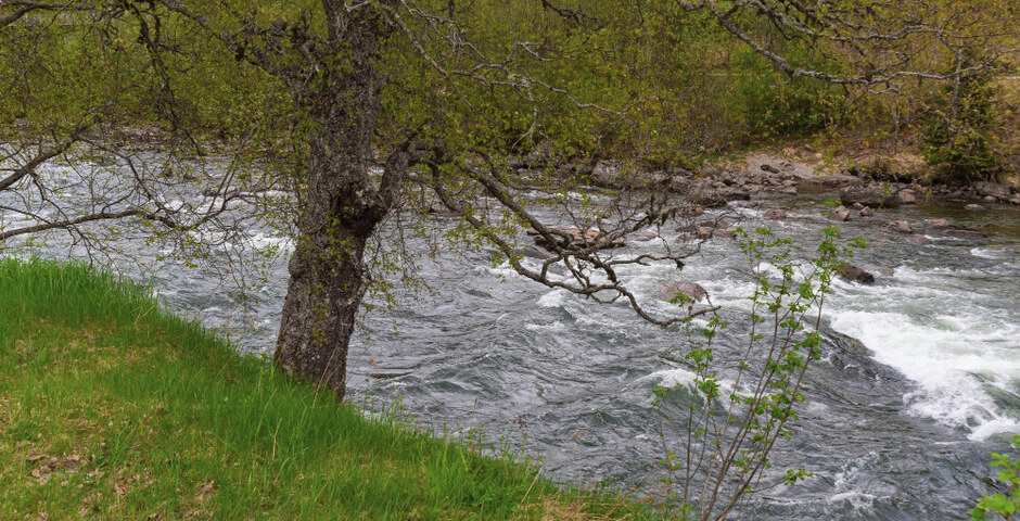 Названы регионы РФ, где ожидается превышение уровня речной воды