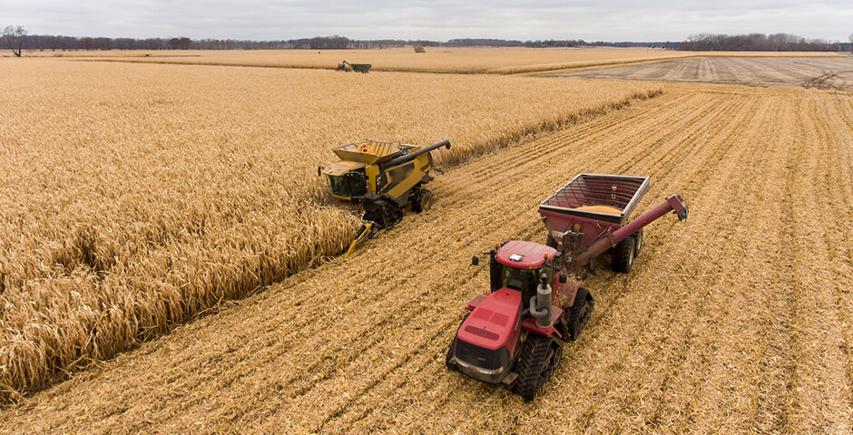 В Минсельхозе оценили планы прекращения экспорта зерна из РФ американской компанией Cargill