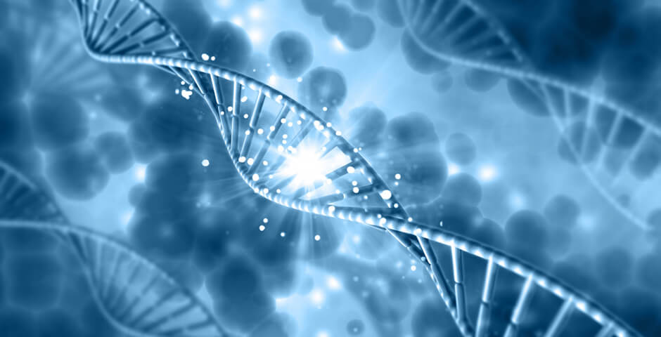 В Калининграде раскрыто убийство, совершенное в 2016 году
